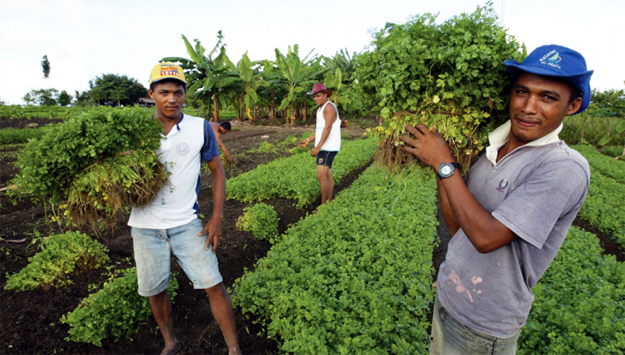 AGERP participa 1ª Feira Maranhense da Agricultura Familiar em São Luís